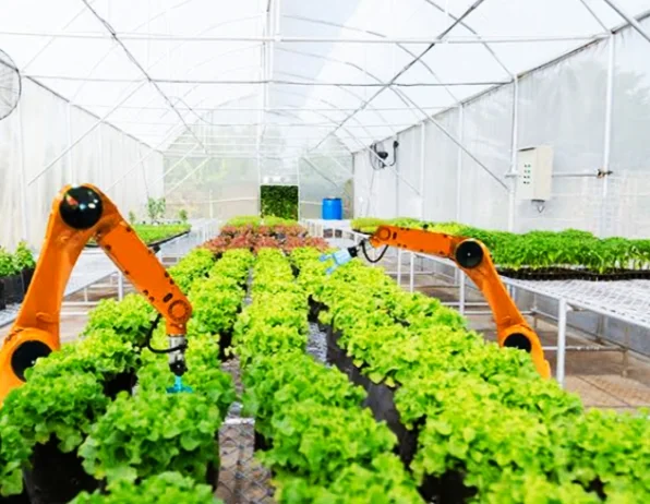 Leaders Company in Robotics Agriculture