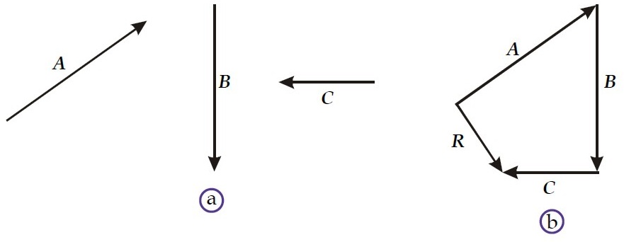 Contoh Besaran Vektor Resultan - Contoh Sur