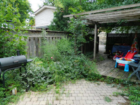 Playter Estates Toronto backyard clean up before by Paul Jung Gardening Services