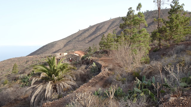 Finca Montiel from Camino Montiel, Tenerife