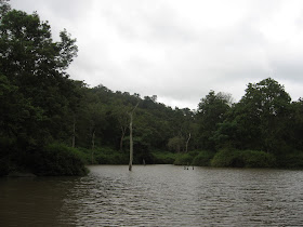 Pond near the machan, K Gudi