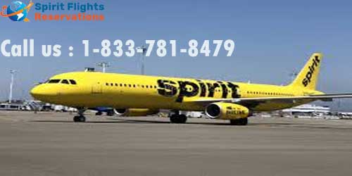 Spirit Airlines Reservations