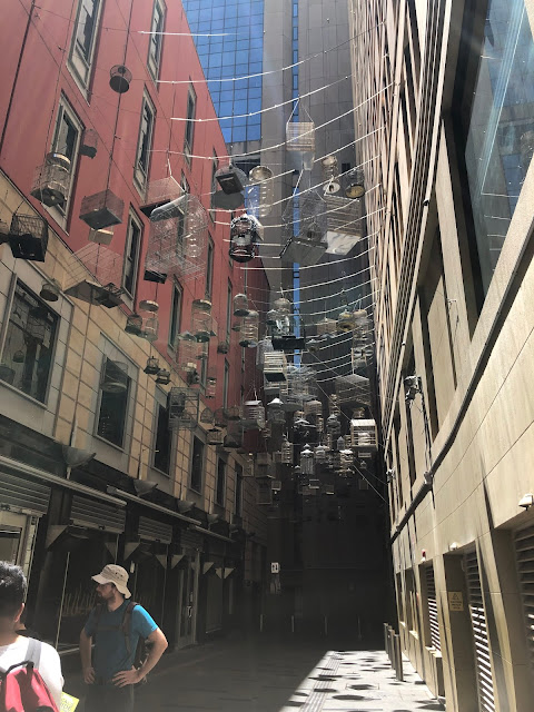 Australia Street bird cages