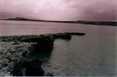 Mad Colony - Koufonisia