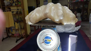 worlds biggest pearl, worlds largest pearl, pearl