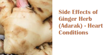 Side Effects of Ginger Herb (Adarak) - Heart Conditions