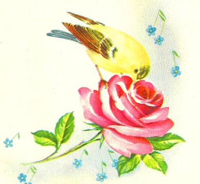 yellowbird