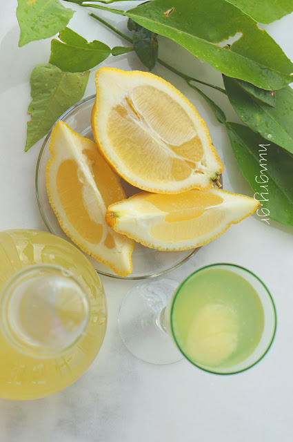 Fresh Lemon Syrup