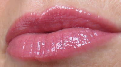 saveonbeautyblog_pretty_vulgar_poisonous_pout_plumping_lipgloss_perennial_kiss_lesk_na_pery