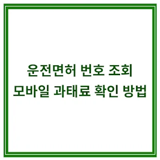 운전면허-번호-조회-모바일-과태료