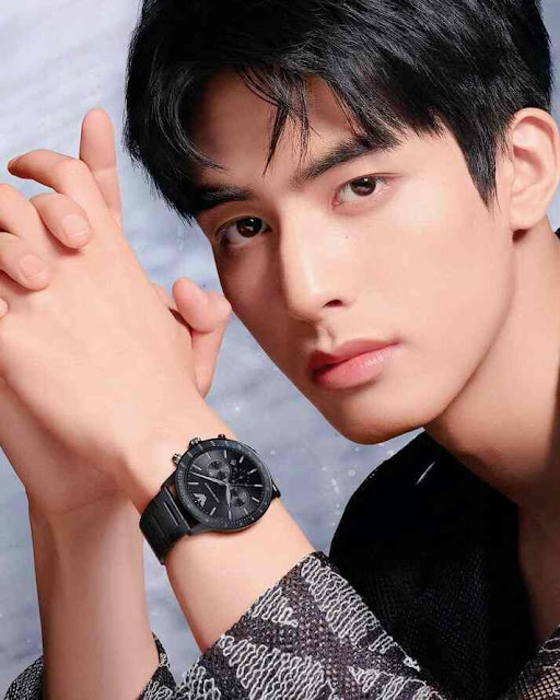 Song Wei Long (Chinese Actor)