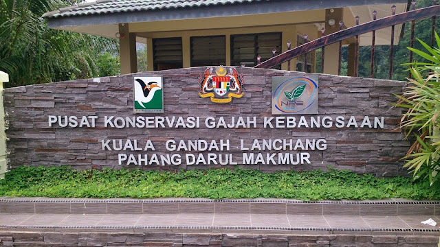 Pusat Konservasi Gajah Kebangsaan @ Kuala Gandah (NECC)