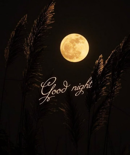 Moon Good Night Images