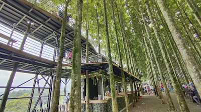 Sejuknya Kebun Jati Pancawati, Alternatif Destinasi Wisata Alam di Puncak Bogor