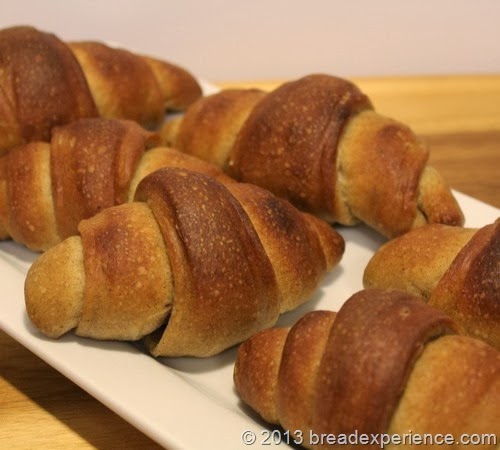 sourdough-pumpkin-crescent-rolls_249