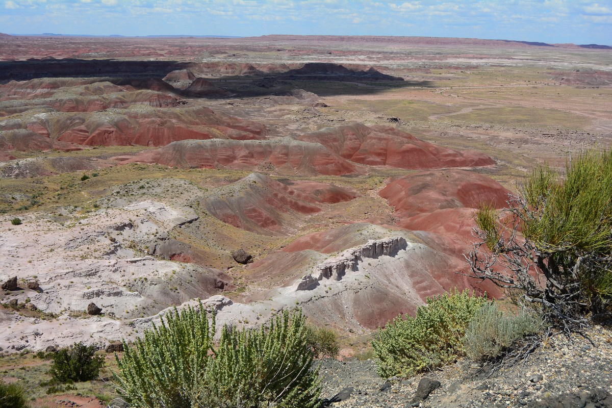 Painted desert Petrified Forest