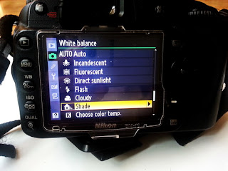 white balance pada shade di kamera nikon