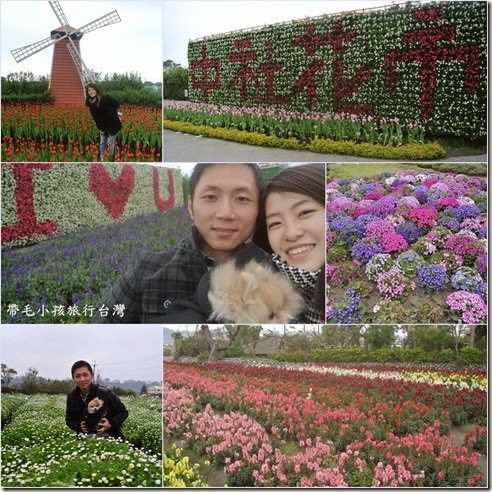 中社花市