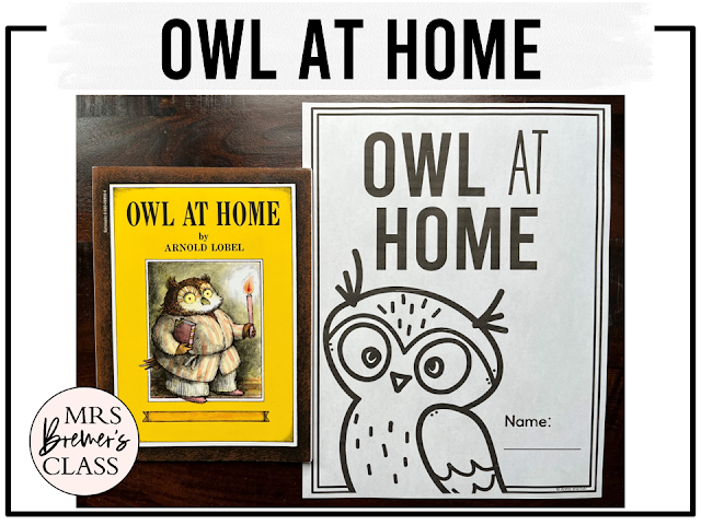 Owl at Home book study activities unit with literacy printables, reading companion activities, and lesson ideas for First Grade and Second Grade