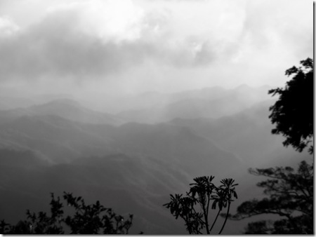 2010_1231carlosysonia0026