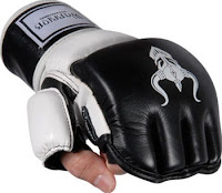 Heavy Bag Gloves4