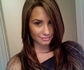 Demi Lovato Hairstyle Colort