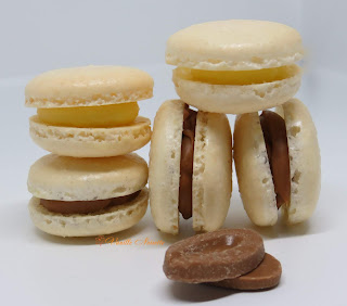 Macarons cacahuète, noisette, noix de pécan et noix de coco