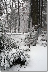 IMG_1936