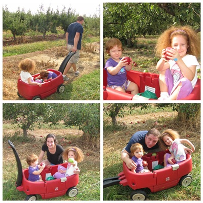 More Apple Picking 2010 