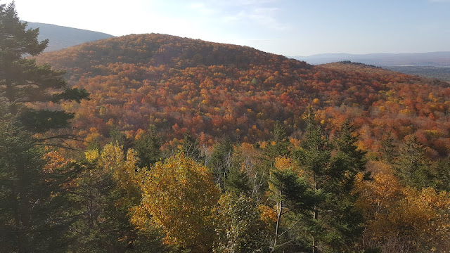 Point de vue à partir de 'Les Coos' sur le sentier Les Escarpements