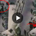 1999 Columbine Shooting Involving 2 Students Captured in CCTV. WATCH
HERE!