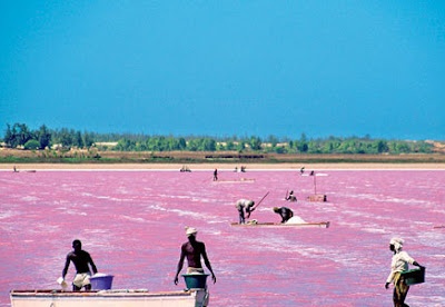 danau yang airnya berwarna pink