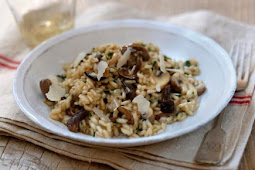 Mushroom recipes 