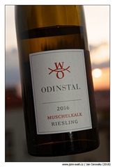 Weingut-Odinstal-Riesling-Muschelkalk-2016