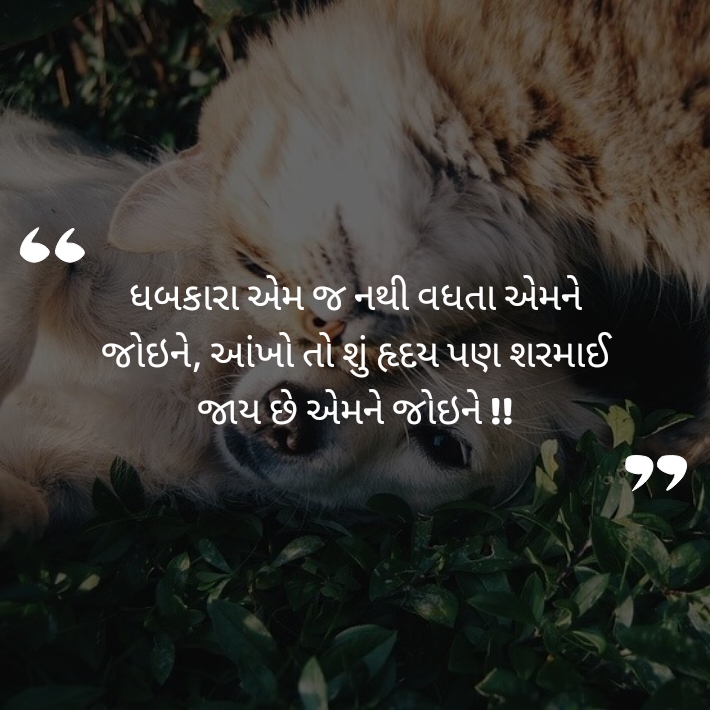 Latest gujarati status