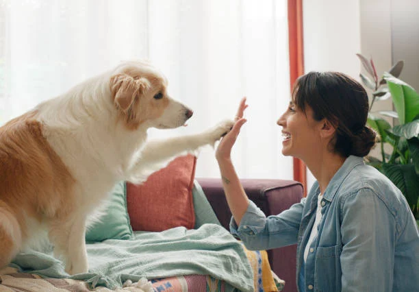 Choosing the right breed for your home involves considering factors such as size, temperament, energy level, and compatibility with your lifestyle.