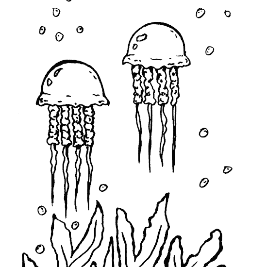 Sketsa Gambar Mewarnai Binatang