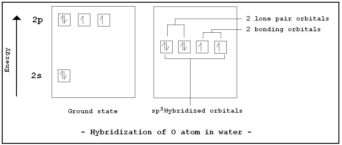 has sp3 hybridization.