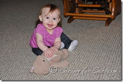 DSC_0340 DSC_0340