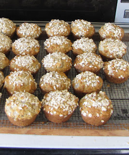 lowfat pear-oatmeal muffins