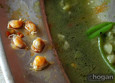 malaysia baby crabs