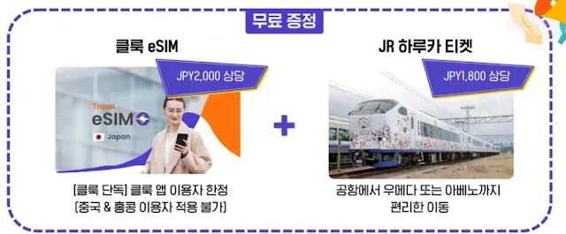 간사이 조이패스 두가지 옵션