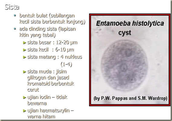 KOLEKSI TUGASAN: PARASITOLOGI-ENTAMOEBA HISTOLYTICA 
