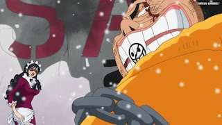 ワンピースアニメ パンクハザード編 621話 ベビー5 バッファロー | ONE PIECE Episode 621