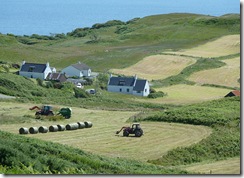 work on the croft, aird