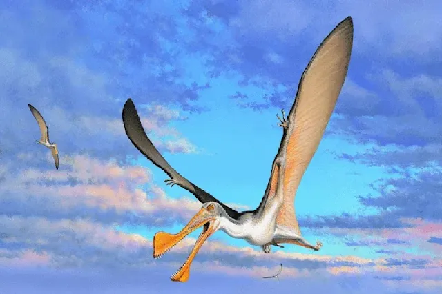 Fósiles de pterosaurios en Australia: Revelando la vida de los reptiles alados en la era de los dinosaurios