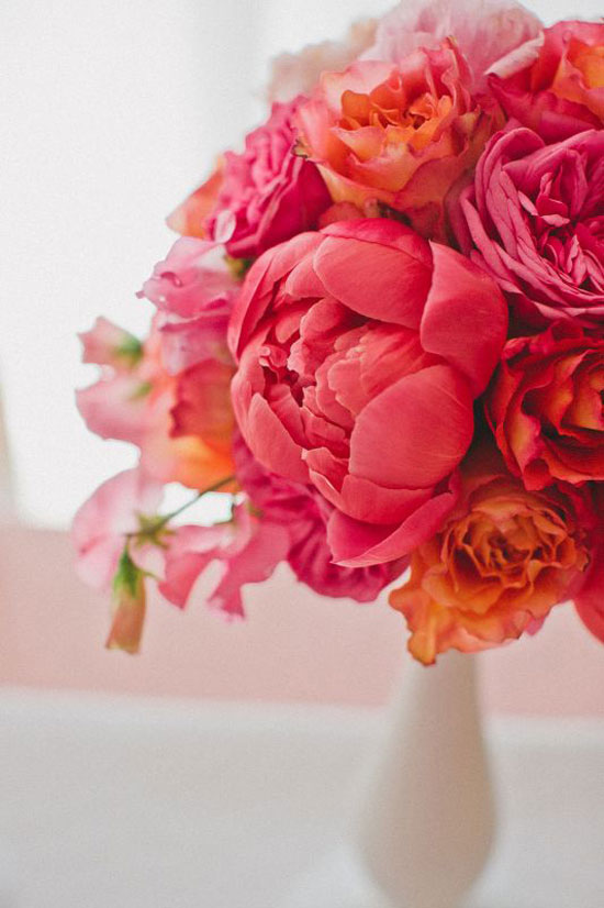 types of flowers carnation Coral Pink Flowers | 550 x 826