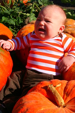 Pumpkin Patch 2010 051