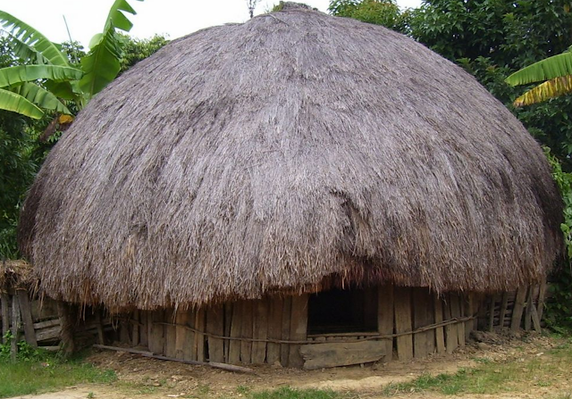 rumah hanoi