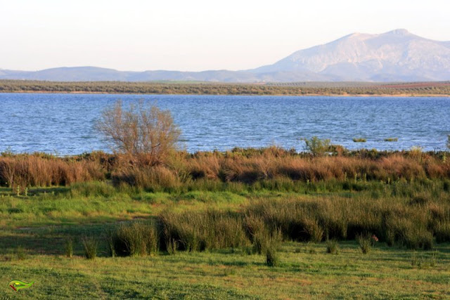 Sendero de Las Albinas (Reserva Natural Laguna Fuente de Piedra)